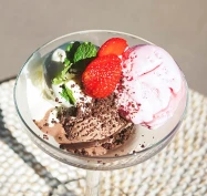 Two Scoop Ice Cream