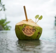 Fresh Coconut Lime