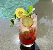 Watermelon Mojito